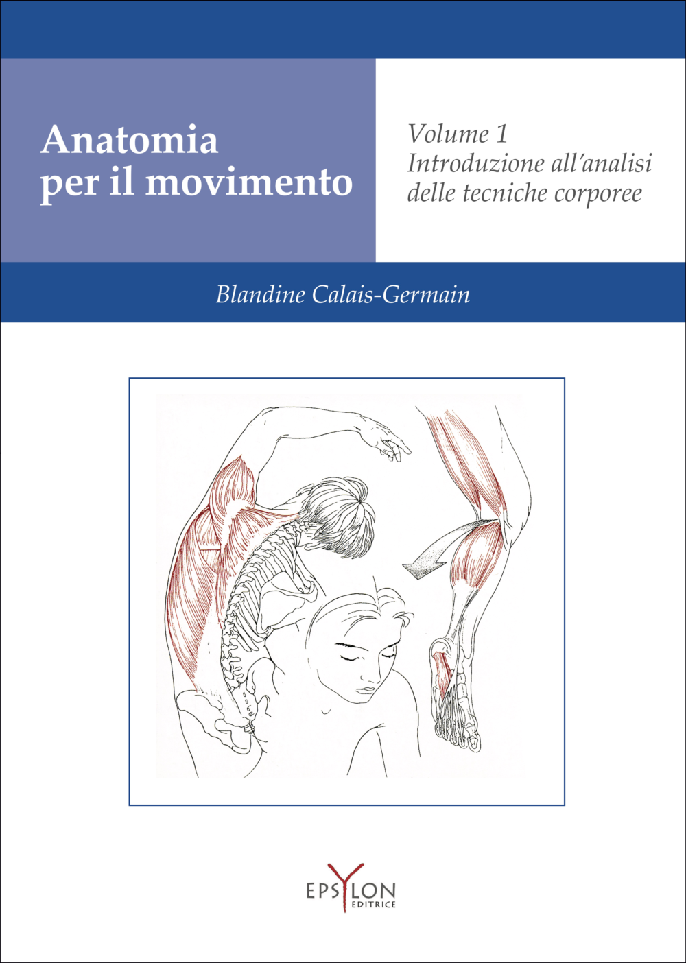 anatomia1